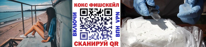 hydra ONION  Снежногорск  КОКАИН Fish Scale 