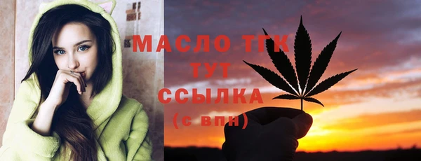 дживик Пестово