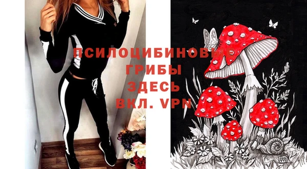 прущая мука Аркадак